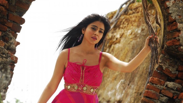Shriya Saran in a pink dress