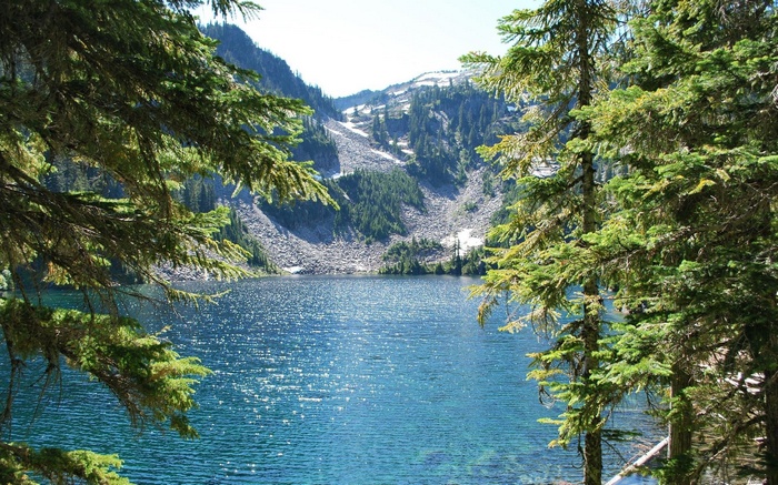 Lake surrounded by trees and mountains