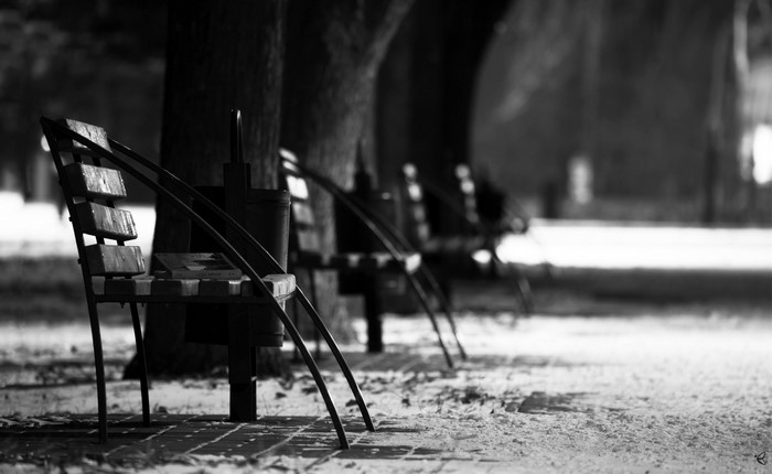 Monochrome park benches in winter with snow