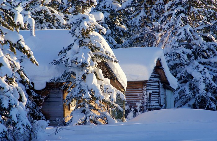 Snow-covered log cabins in a winter forest