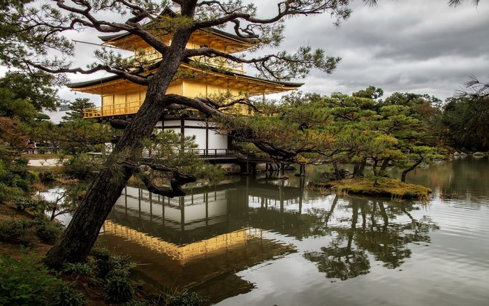 Golden Pavilion reflected in pond with pine tree, Kyoto, Japan