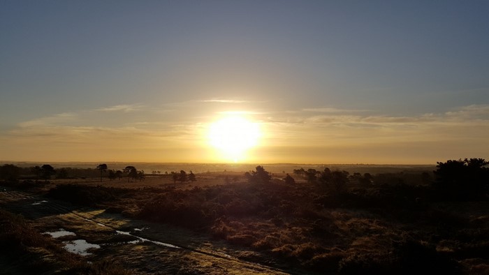 Sunrise over a heathland landscape with trees and water