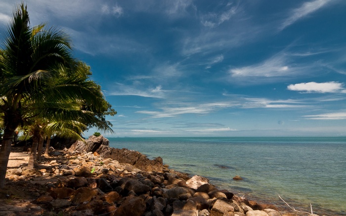 Rocky coastline with palm trees and ocean under a cloudy sky