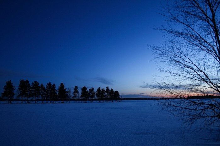 Winter landscape at dusk with snow and trees