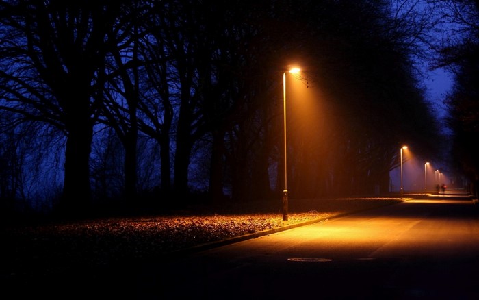 Streetlights illuminate a foggy road at night
