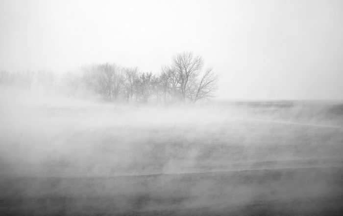 Monochrome foggy landscape with trees