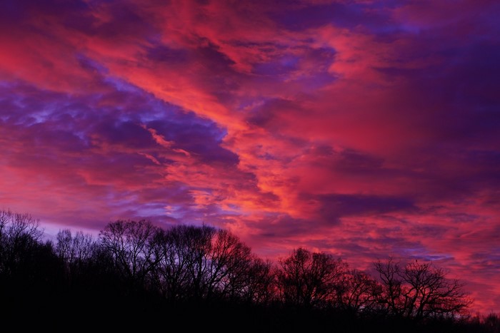 Dramatic sunset sky over silhouetted trees