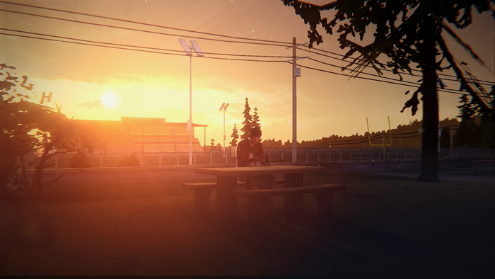 Boy sitting at picnic table during sunset