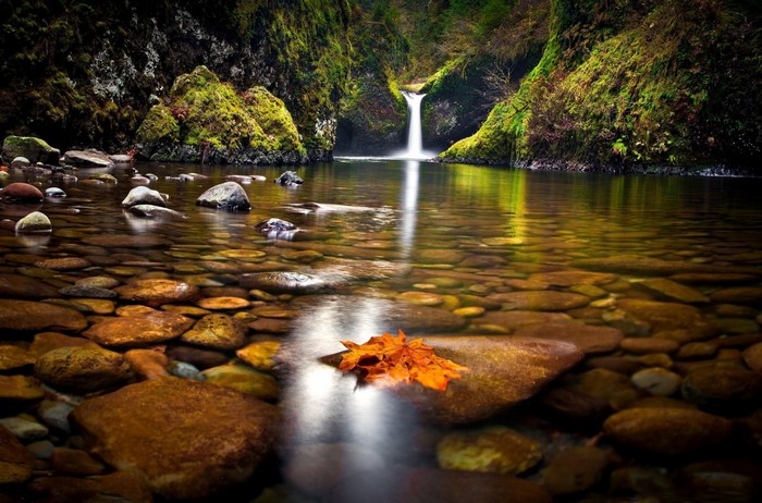 Waterfall in a mossy forest with a river and autumn leaf