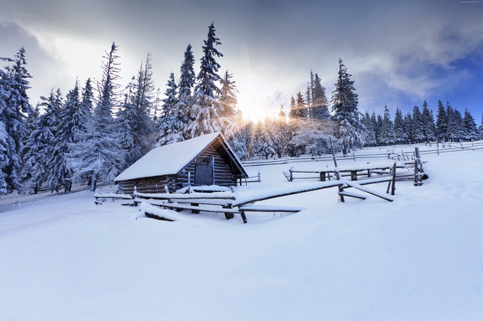 8k, mountain, 4k, 5k, fir-trees, winter forest, village, snow, house, sun