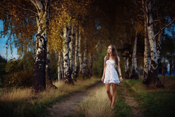 Woman walking on a path in a birch forest during autumn