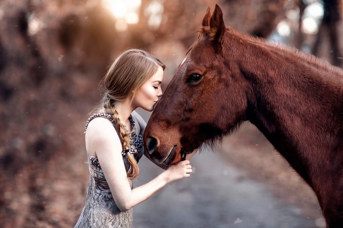 Young Woman Kissing a Brown Horse in Autumn