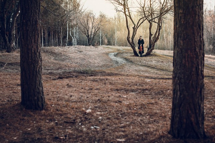 Woman with violin in a winter forest