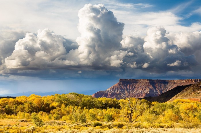 Autumn trees and mesa under dramatic clouds