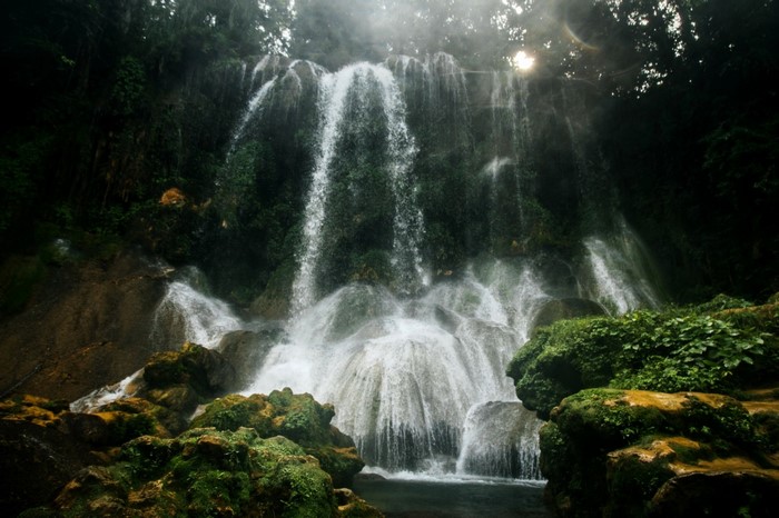 Waterfall cascading through a lush green forest