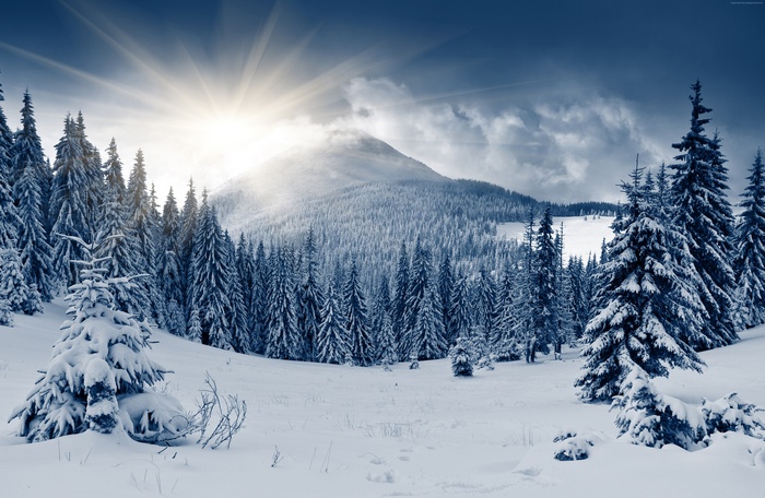Sun shining over a snow-covered mountain and winter forest