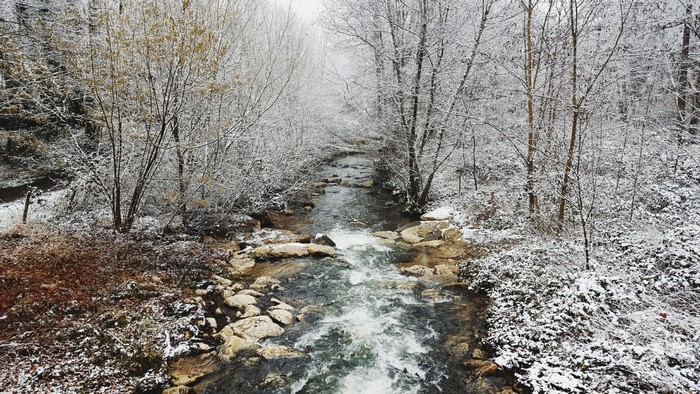 Snow-covered forest with a flowing river
