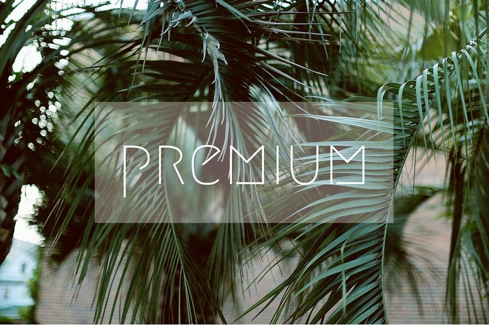 Premium text overlay on palm leaves