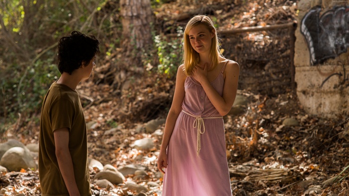 Elle Fanning in 20th Century Women