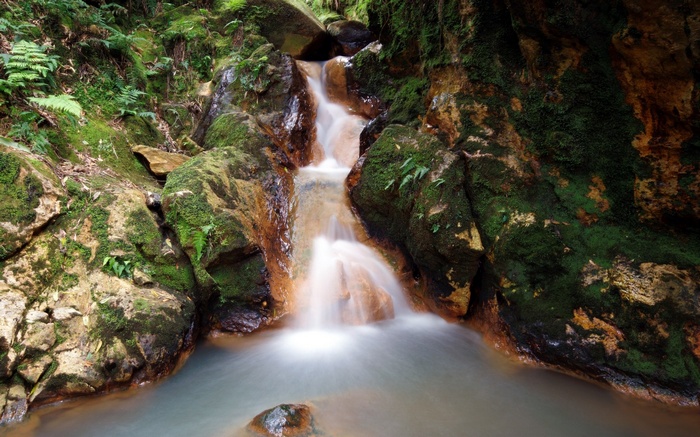 Waterfall cascading over mossy rocks in a forest