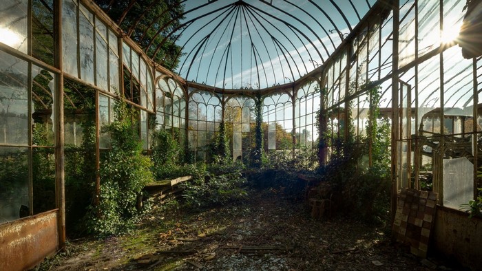 Abandoned greenhouse with overgrown plants and broken glass