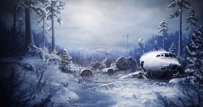 Aircraft wreck in a snowy forest