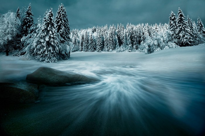 Snow-covered trees and flowing water in winter landscape