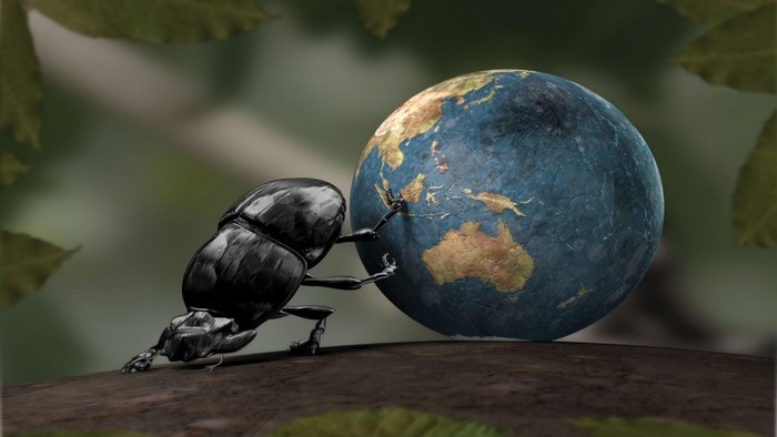 A beetle pushes the Earth on a branch