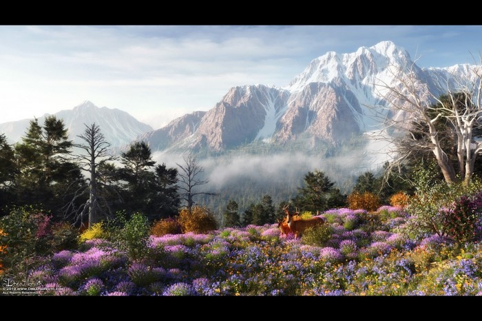 Deer in a wildflower meadow with snow-capped mountains