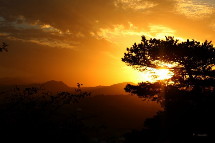 Sunset over mountains with silhouetted trees