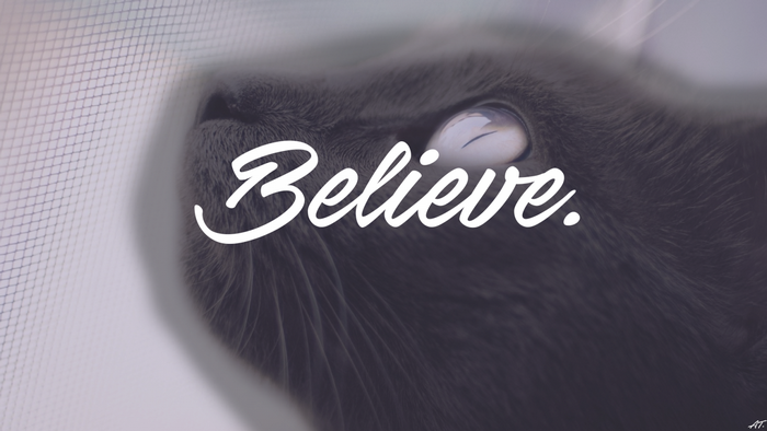 Close-up of a black cat's face with the word "Believe"