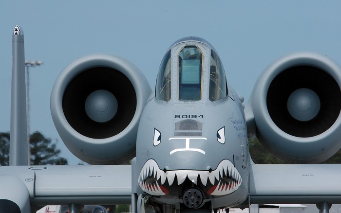 Fairchild Republic A-10 Thunderbolt II with shark mouth