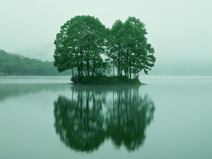 Island with trees reflected in a misty lake