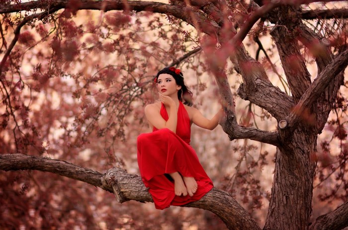 Woman in red dress sitting on a tree branch
