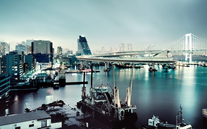 Tokyo cityscape with Rainbow Bridge and harbor at night