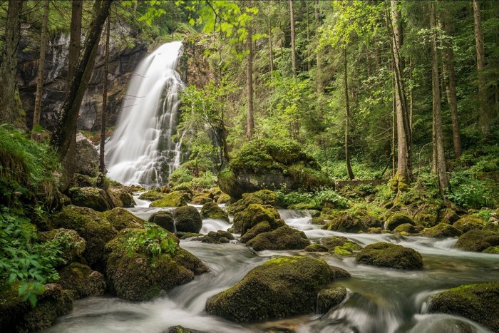 Waterfall in a lush green forest with mossy rocks