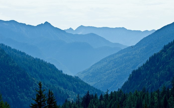Blue Mountains and Forest Valley