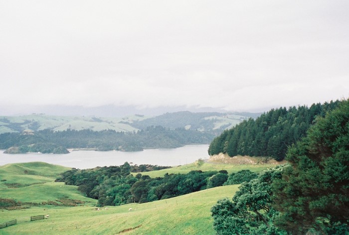 Rolling green hills and a bay with forested islands under a cloudy sky
