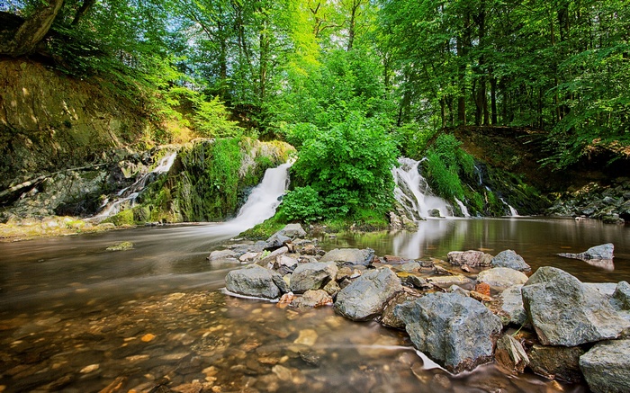 Waterfalls in a lush green forest with rocks in the foreground