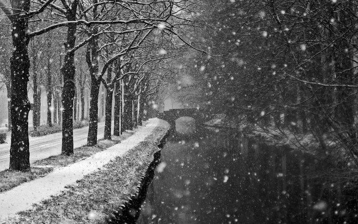 Snowy canal path with trees and a bridge