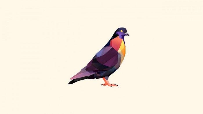 Geometric pigeon illustration