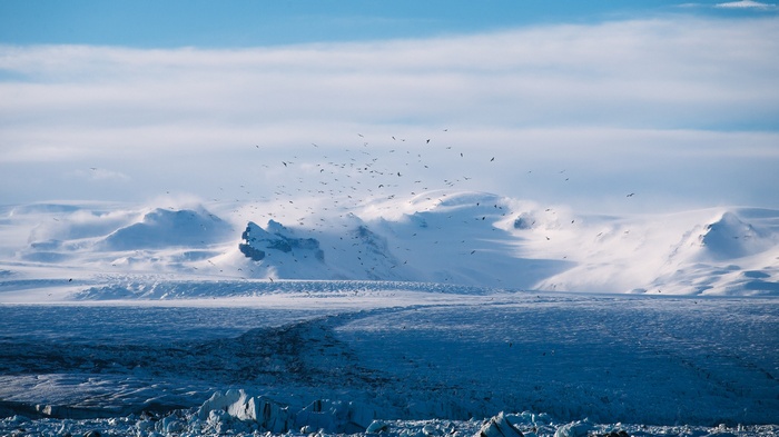 Flock of birds over snowy mountains and glaciers