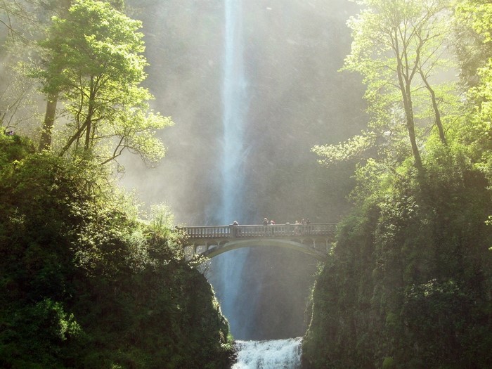 Waterfall with a bridge and trees