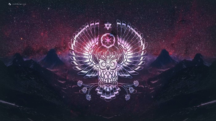 Illustration of an owl with wings spread against a starry sky and mountains