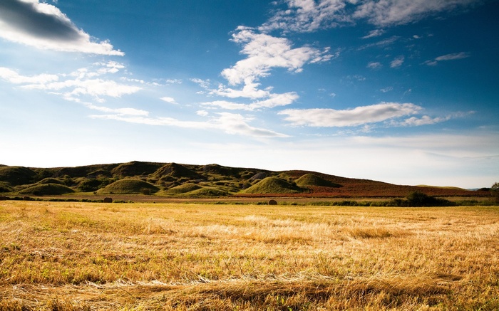 Golden field with rolling hills and blue sky