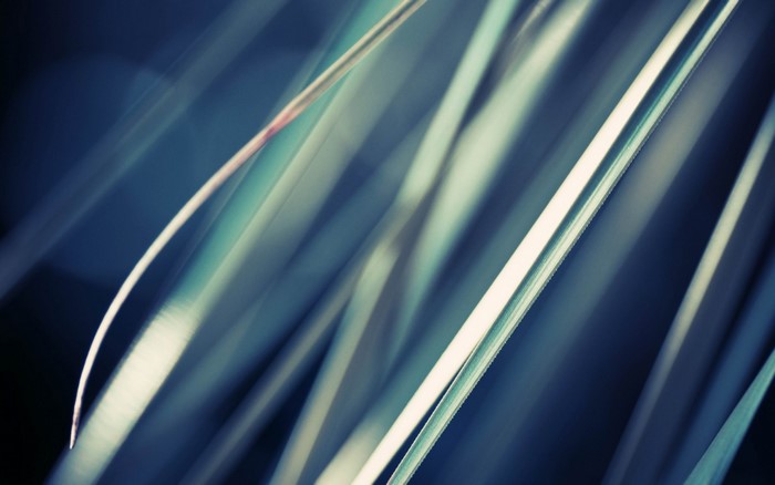 Abstract macro photography of grass blades with sunlight
