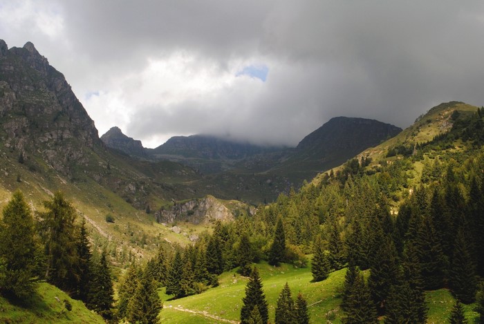 Mountain valley with pine trees and dramatic clouds