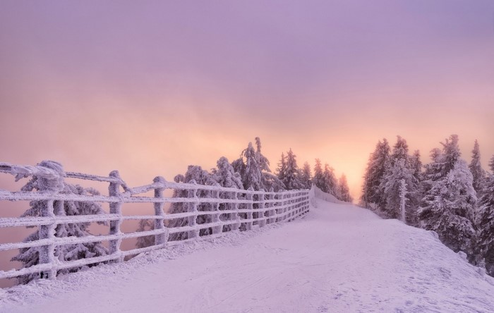 Snowy mountain path with frosted trees at sunrise