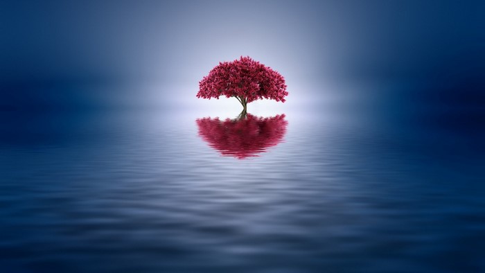 Red tree reflected in water