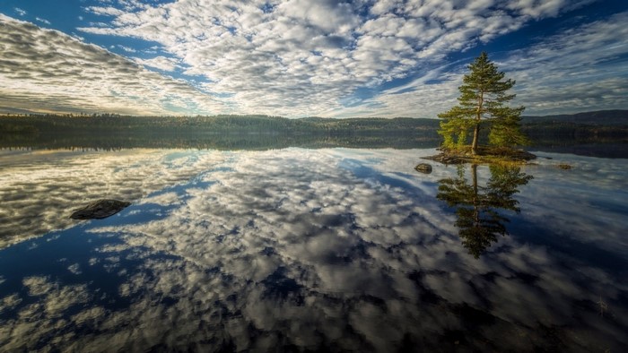 Lone tree on island in lake with cloud reflections